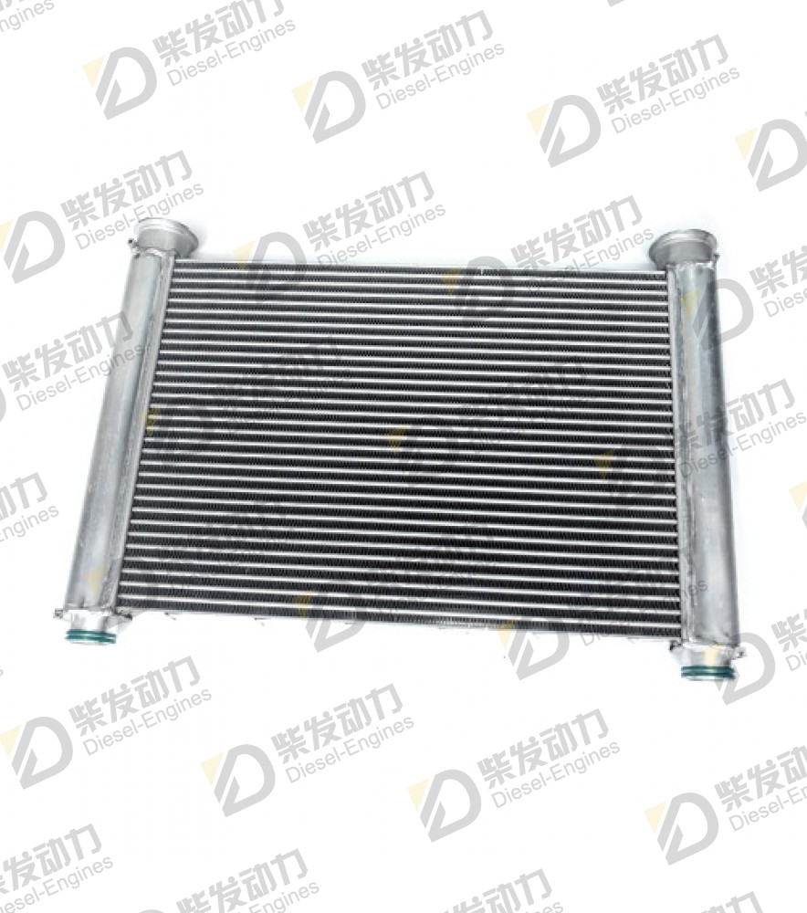 Charge air cooler 3838129 